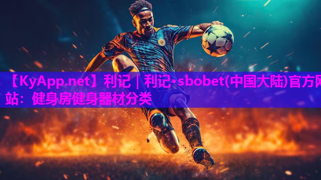 利记｜利记·sbobet(中国大陆)官方网站：健身房健身器材分类
