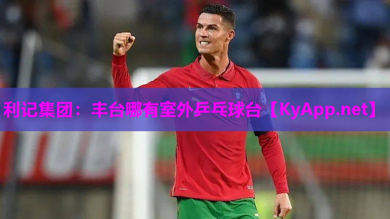 利记集团：丰台哪有室外乒乓球台