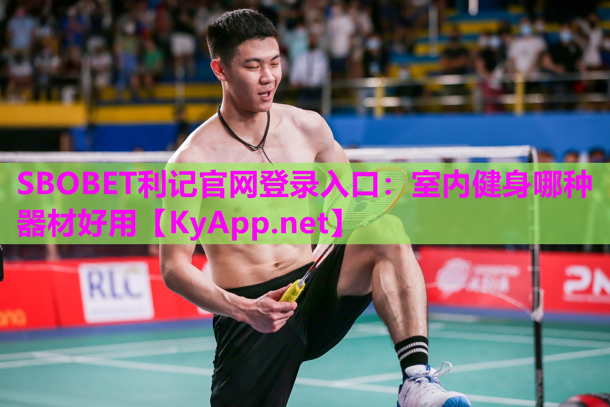 SBOBET利记官网登录入口：室内健身哪种器材好用