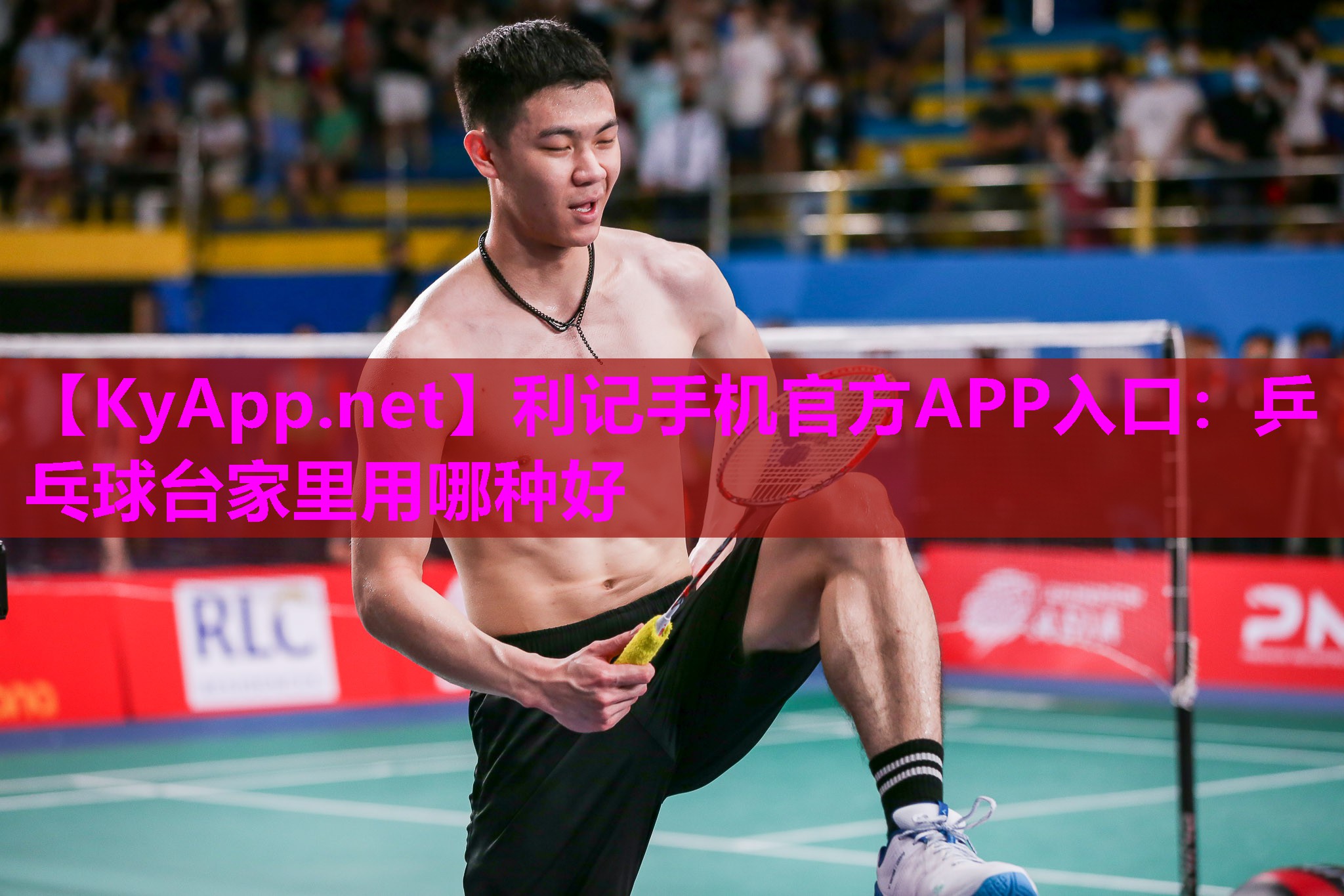 利记手机官方APP入口：乒乓球台家里用哪种好