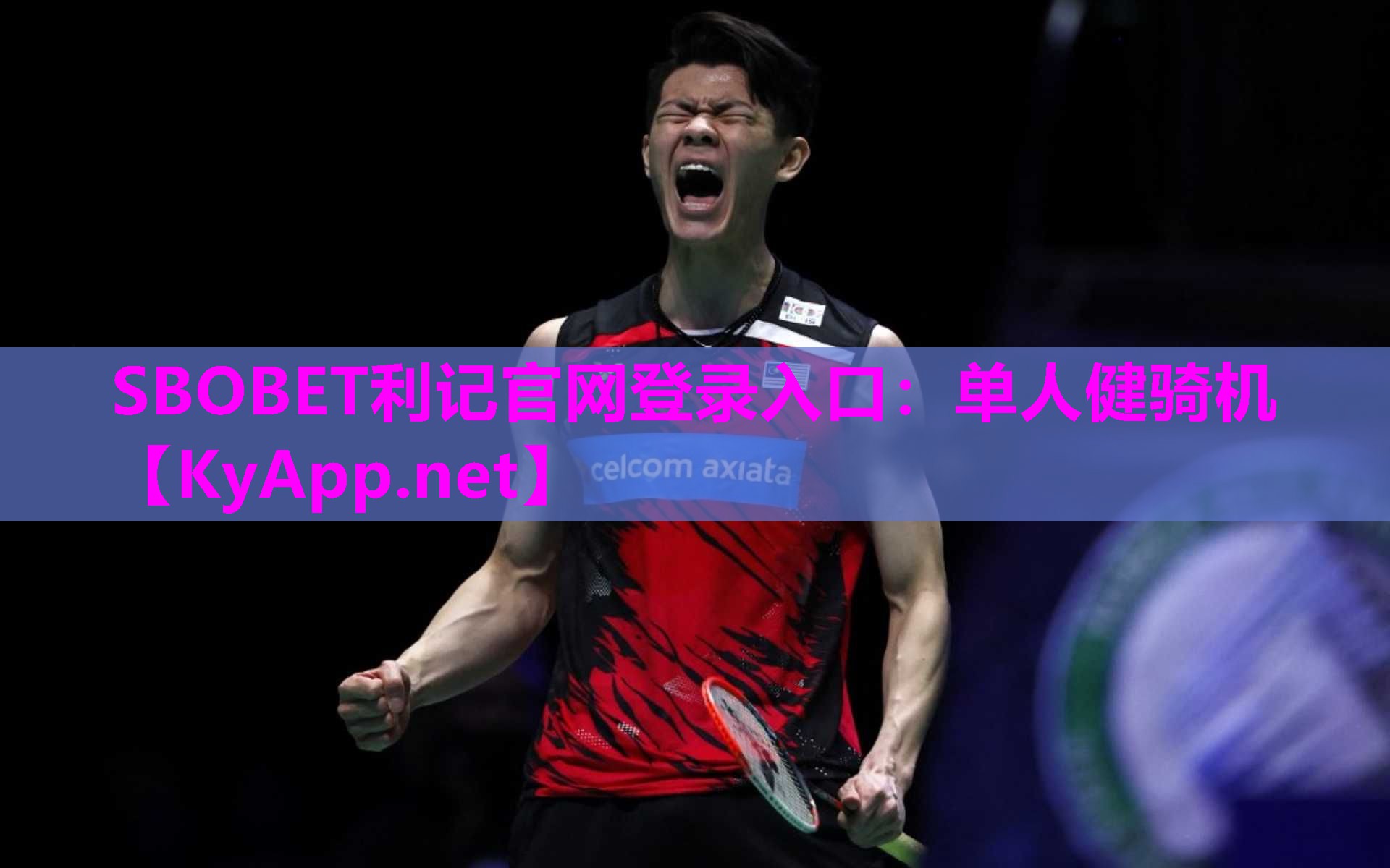 SBOBET利记官网登录入口：单人健骑机