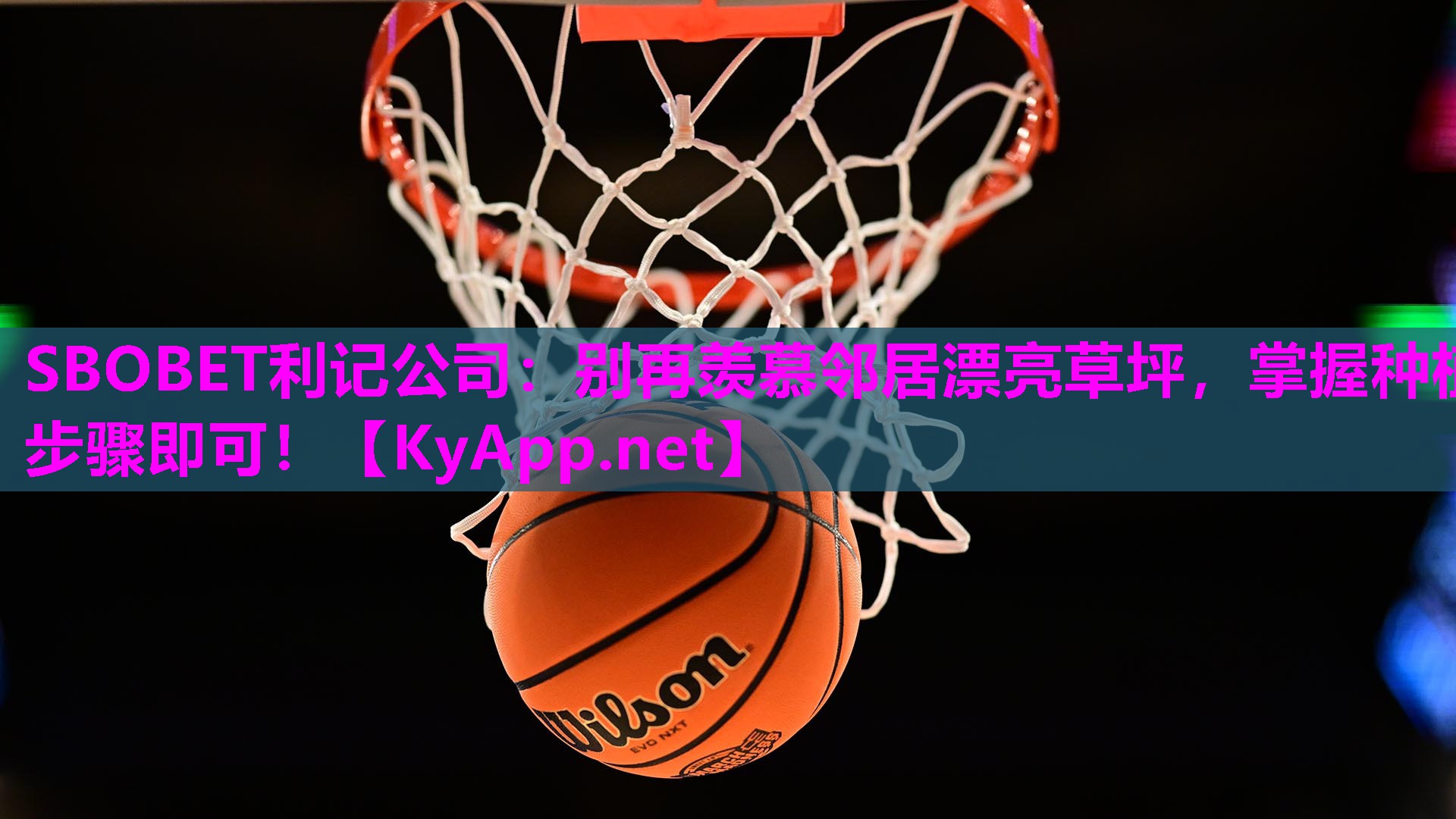 SBOBET利记公司：别再羡慕邻居漂亮草坪，掌握种植步骤即可！