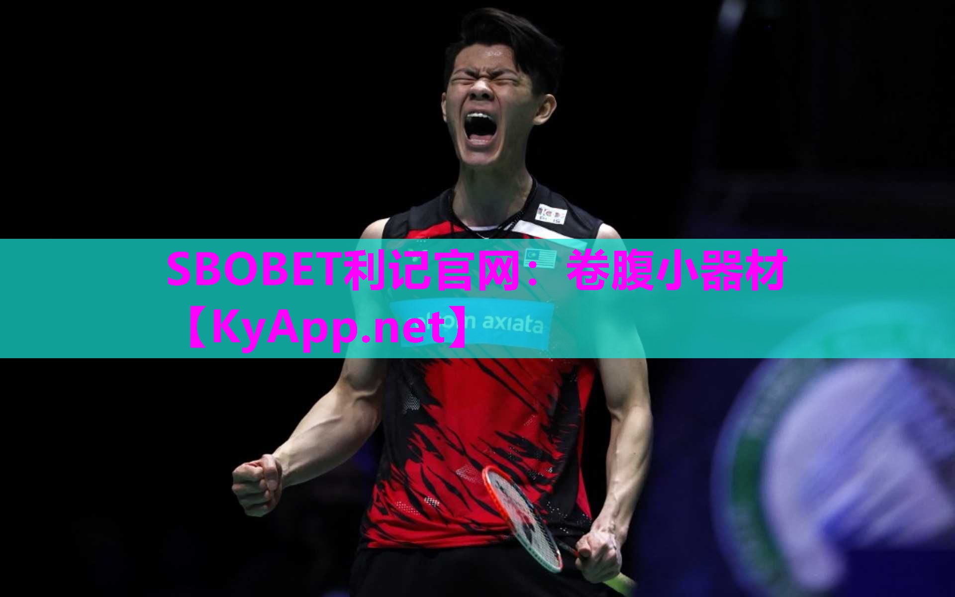SBOBET利记官网：卷腹小器材