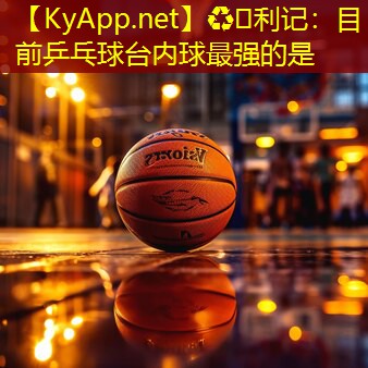 目前乒乓球台内球最强的是
