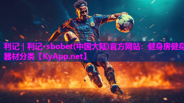 健身房健身器材分类