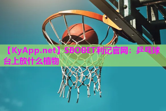 乒乓球台上放什么植物