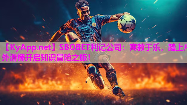 寓教于乐，踏上户外滑梯开启知识冒险之旅！