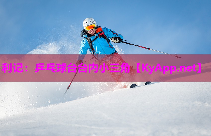 乒乓球台台内小三角 乒乓球台台内小三角