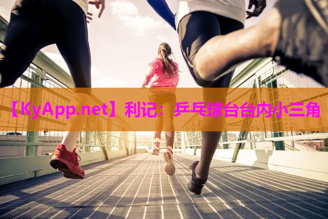 乒乓球台台内小三角 乒乓球台台内小三角