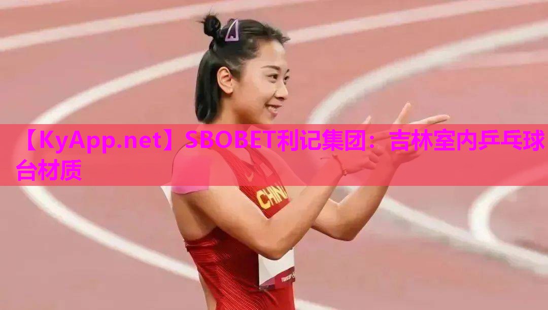 吉林室内乒乓球台材质 吉林室内乒乓球台材质