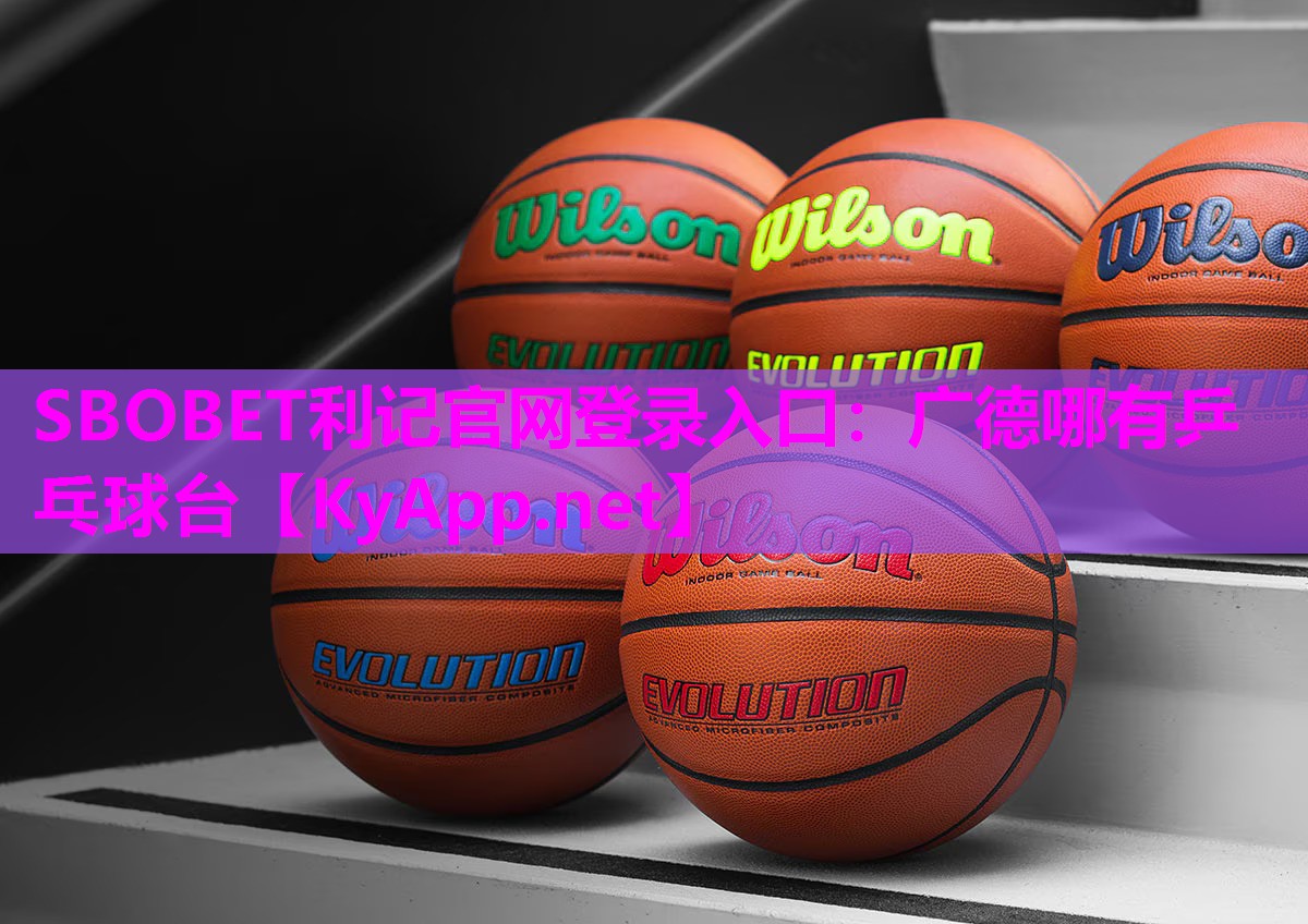 广德哪有乒乓球台 广德哪有乒乓球台