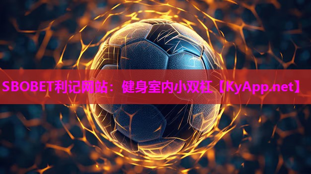 健身室内小双杠 健身室内小双杠