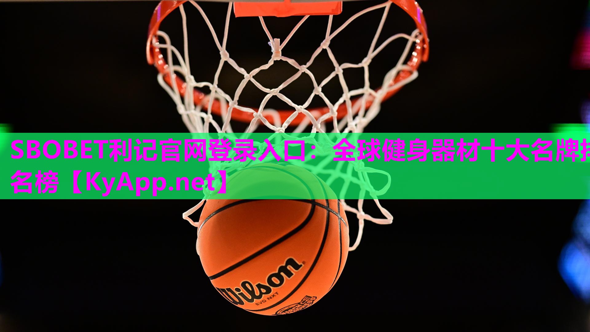 全球健身器材十大名牌排名榜 全球健身器材十大名牌排名榜