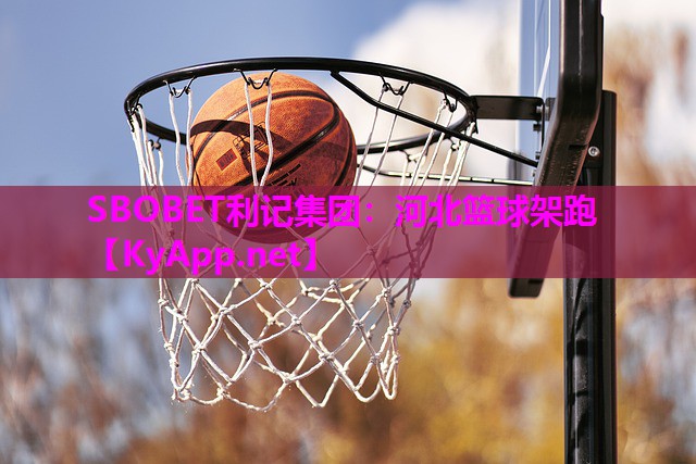 河北篮球架跑 河北篮球架跑