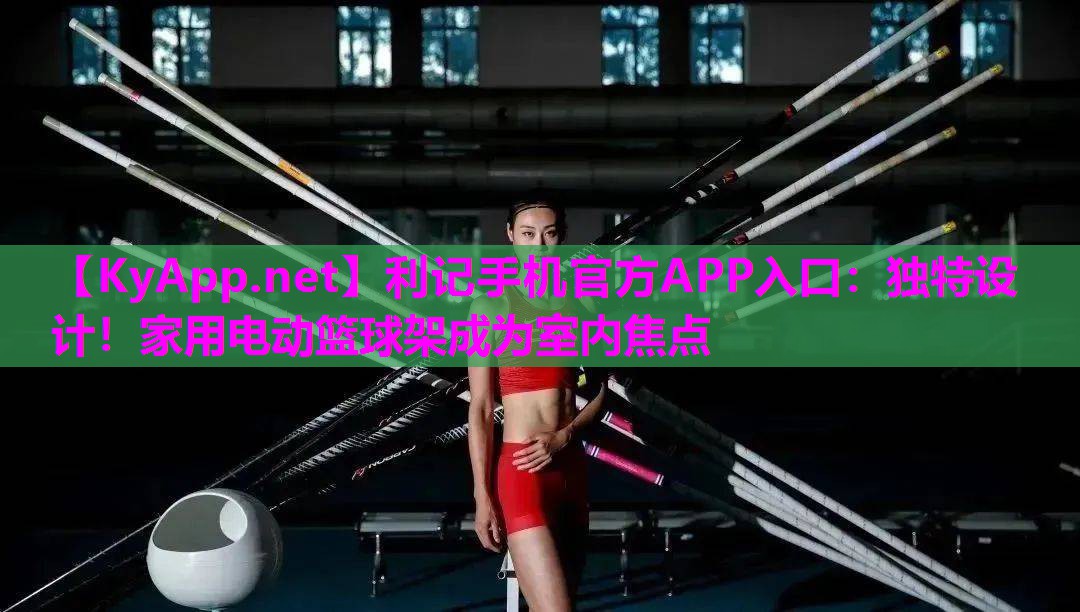 独特设计!家用电动篮球架成为室内焦点 独特设计!家用电动篮球架成为室内焦点