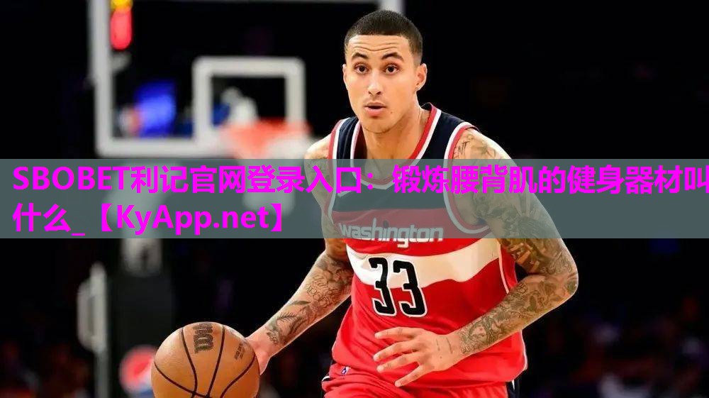 锻炼腰背肌的健身器材叫什么_ 锻炼腰背肌的健身器材叫什么_