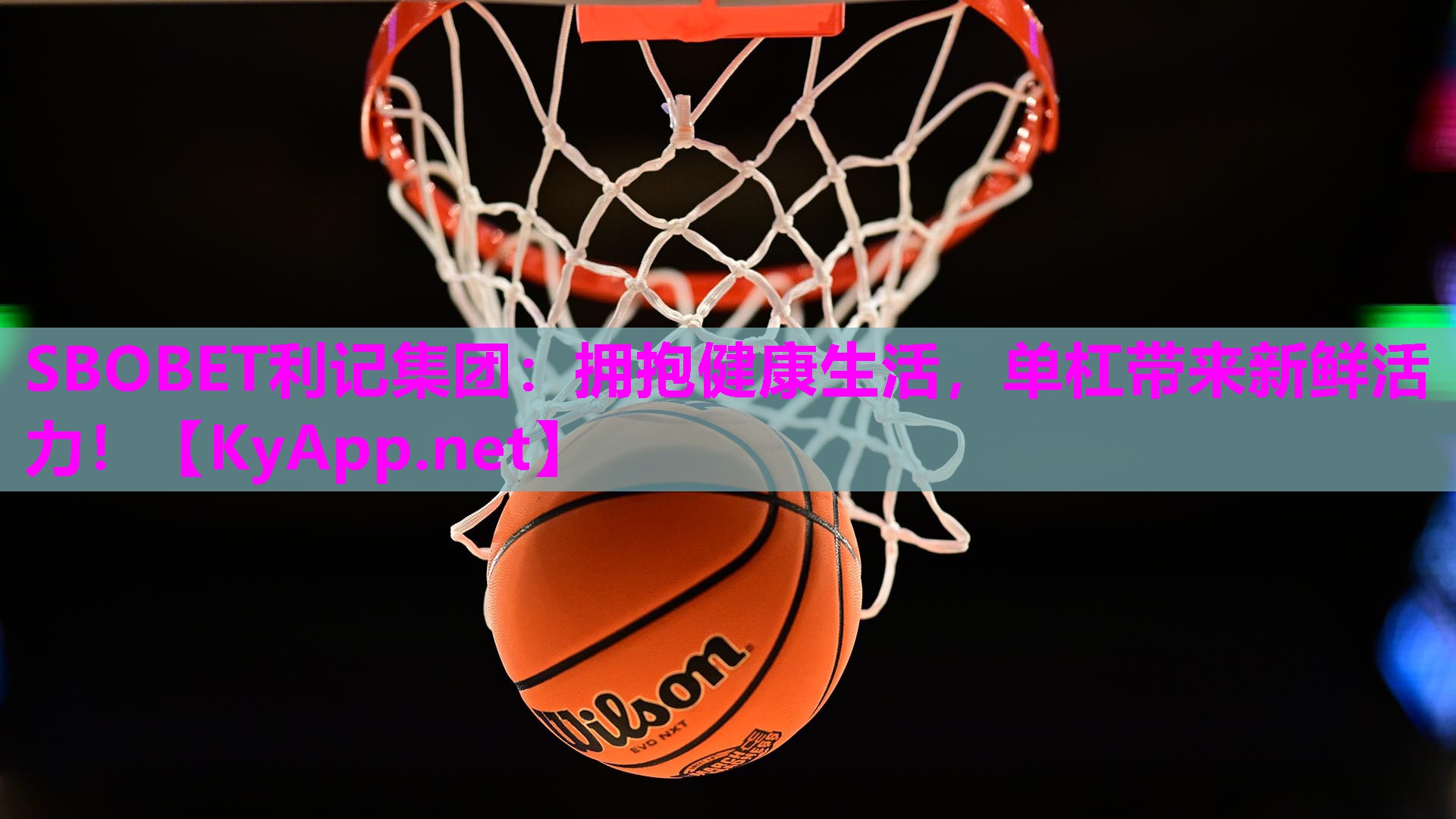 拥抱健康生活,单杠带来新鲜活力! 拥抱健康生活,单杠带来新鲜活力!