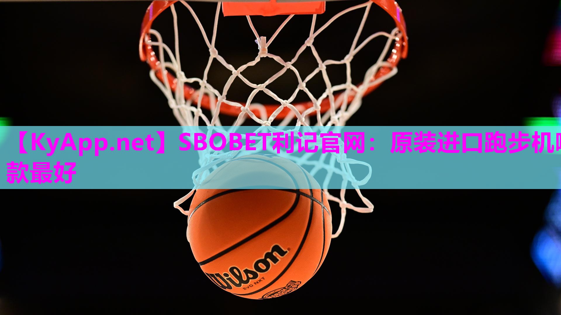 原装进口跑步机哪款最好 原装进口跑步机哪款最好