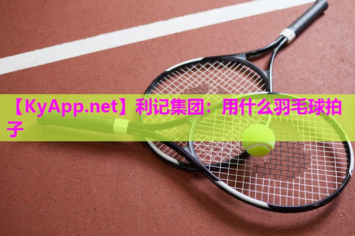 用什么羽毛球拍子 用什么羽毛球拍子