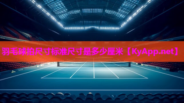 羽毛球拍尺寸标准尺寸是多少厘米